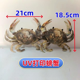 �¿�UV��ӡ�����з ���κ����o��Ʒ ΢ɽ�����lз�Y�Д[���o��Ʒ