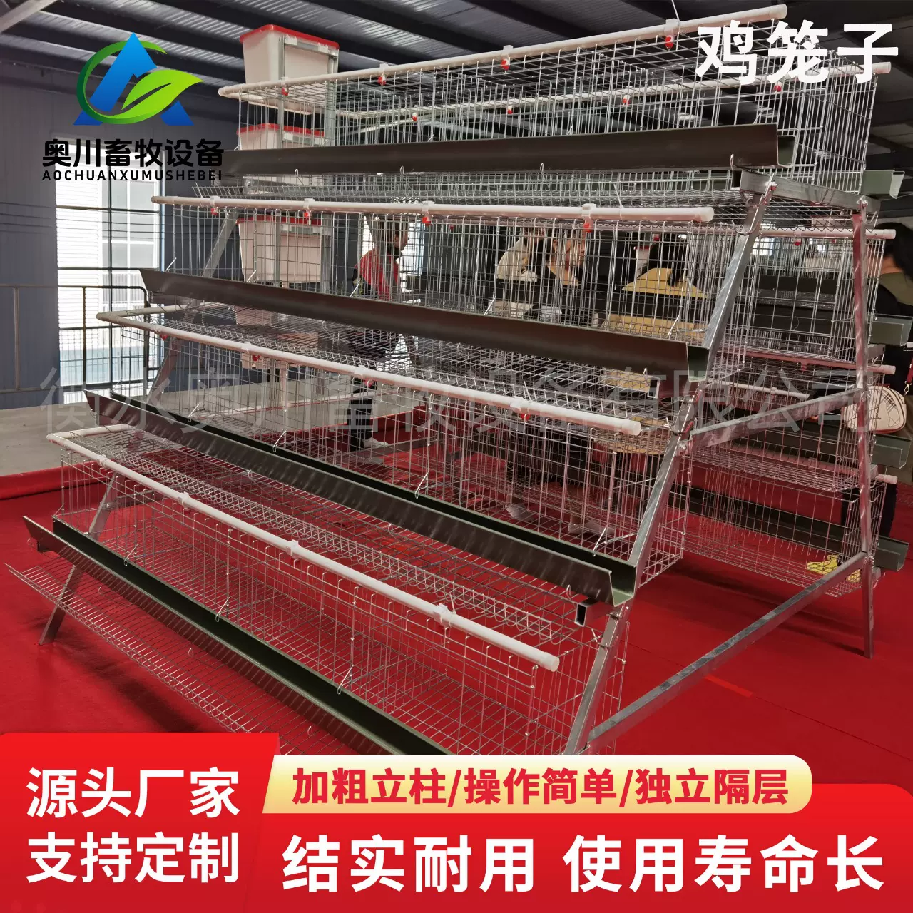 不锈钢鸡笼全自动清粪捡蛋养鸡笼小层叠三层/四层养殖设备蛋鸡笼