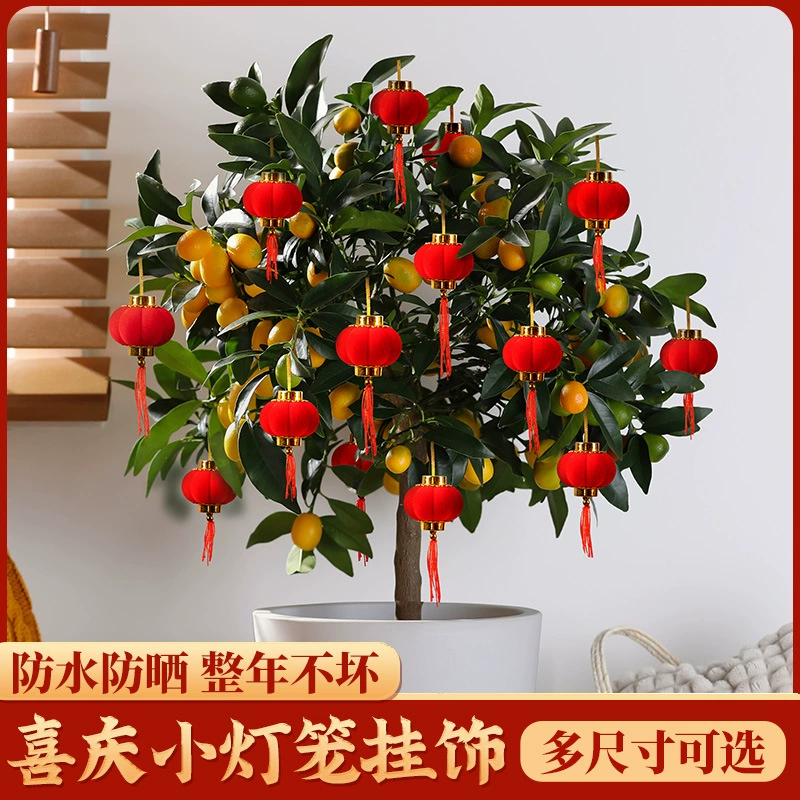 Праздничное украшение зеленая посадка маленький красный фонарь украшения 2024 новый свадебный Новый год флоат год дракона мини-дерево подвеска