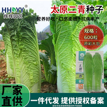 ̫ԭ�����ײ˷N�Ӿ�о�o�w�S��ֱͲ�����~�ײ��߲����L�ײ˷N��