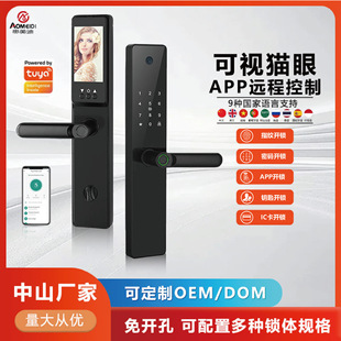 Visual Cat-Eye Graffiti Smart Lock Wooden Door Anti-Theft Door One-Grip Unlocking Fully Automatic Fingerprint Password Lock