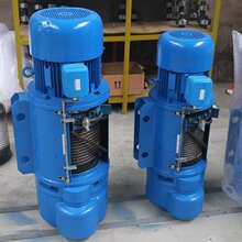 双速电动葫芦建筑工地起重吊运设备小型起重电动提升机