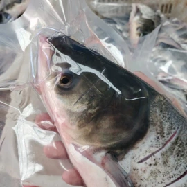 鱼类;虾类;贝类