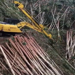 广西挖机15米液压臂拉山机 20米伸缩液压吊臂 拉木机 挖掘机抓木