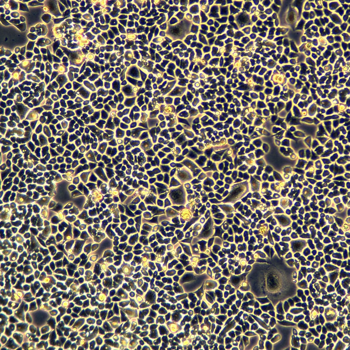 2025-11-04 14:58:55.jpg