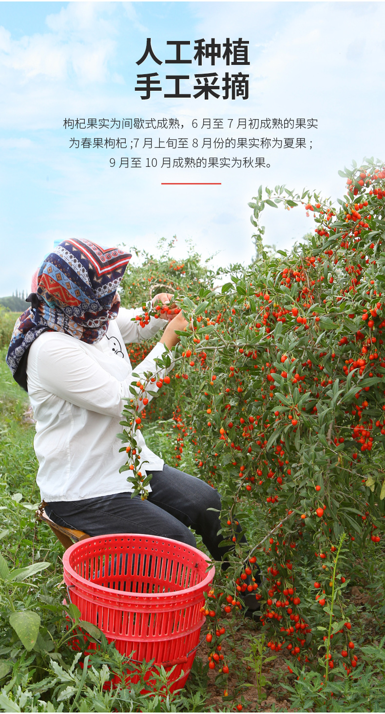 Ning'anbao Premium First Harvest Ningxia Goji Berries Dried Red Wolfberry 250g specifications