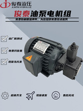 ��̩Һ��늙C�Ȳ�ʽ�ͱ�늙C�M0.75KW/1.5KW/2.2KW��VP20/VP30