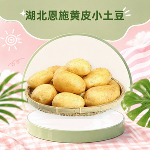 ������ʩ�SƤС���� һ�����l3/5/9���Ŵ�R����д�����r�߲�