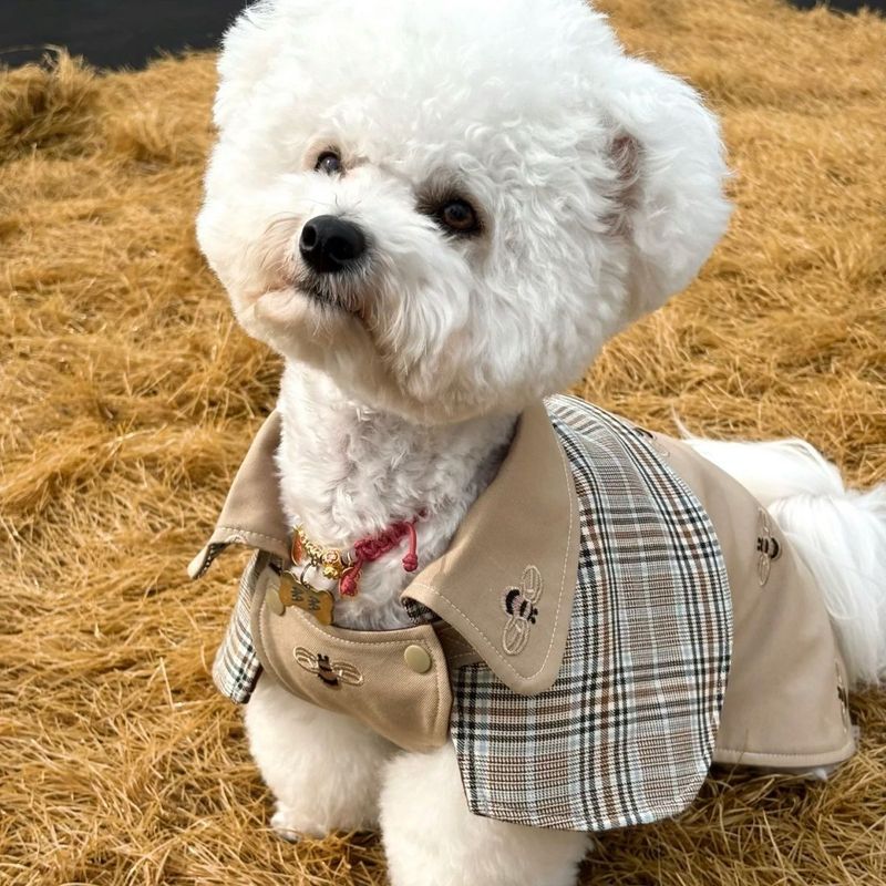 宠物衣服四季复古侦探斗篷英伦领带格子披风中小型犬狗狗|undefined