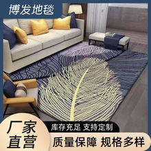 客厅地毯厂家批发轻奢艺术榻榻米垫 家用客厅茶几沙发地毯垫
