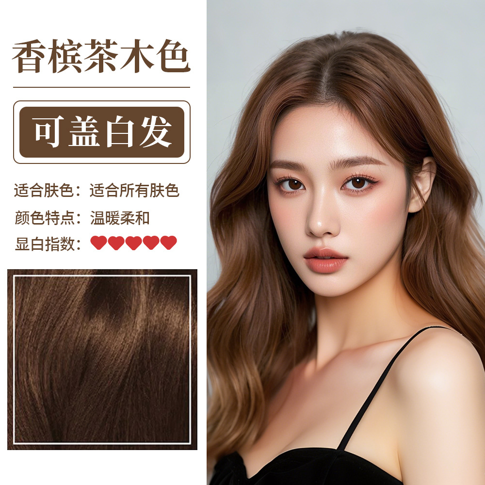 샴페인 차 나무 색상