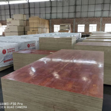 建筑木板规格尺寸大小红板模板厂批发工程模板木工板建筑18mm