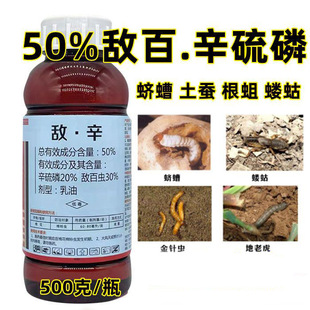 50%���������׵��º��x���x�����ϻ��N��ϓ�����rș�����x