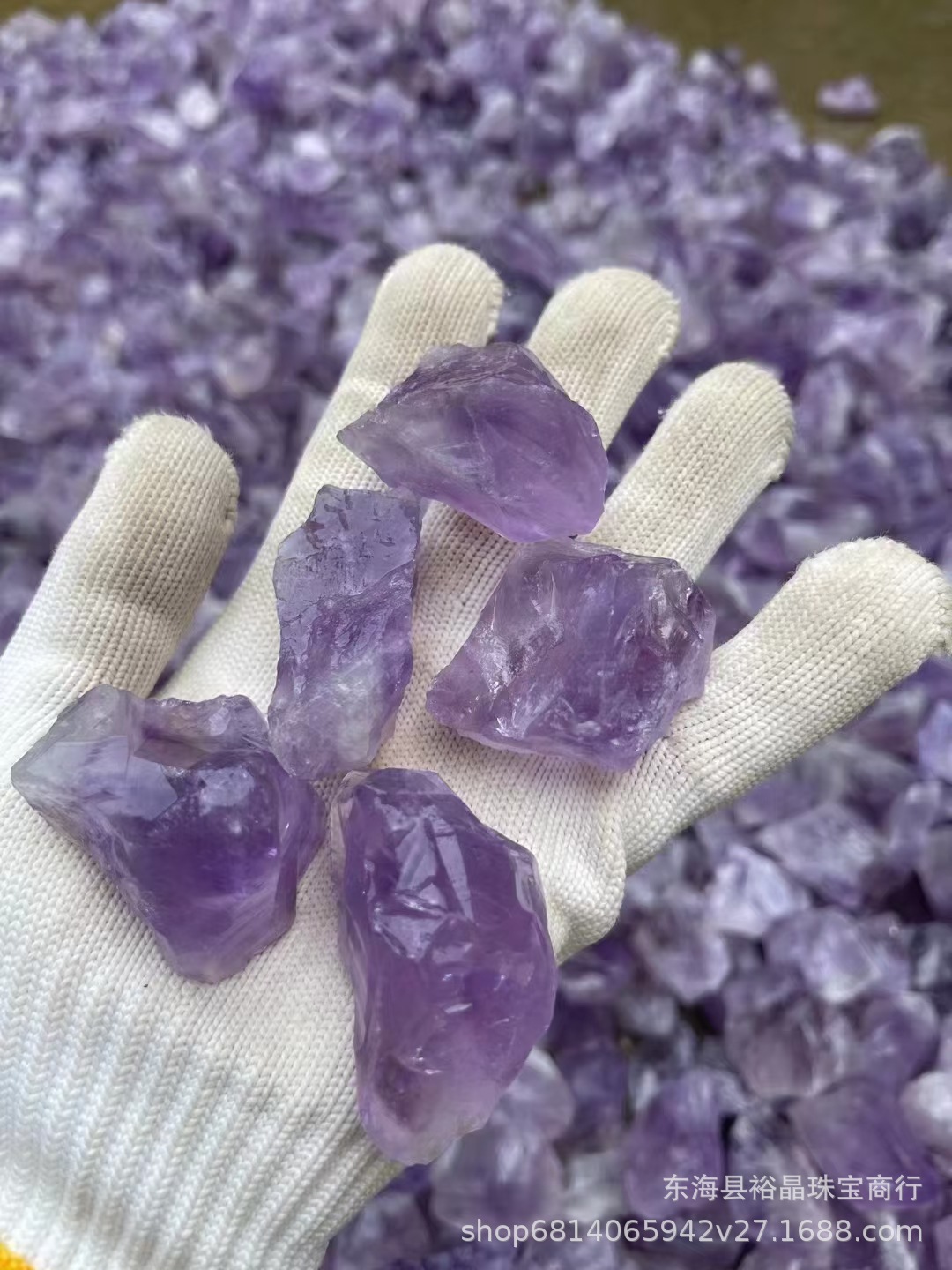 微信图片_20240526135733