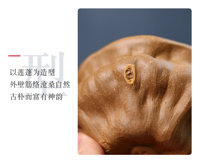 莲蓬 (4).jpg