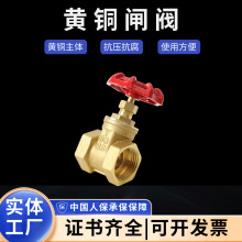 ��h�y�T�S���S�~呉������_�P�ܷ����������˽z���l�yˮ�_�P