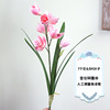 Simulatory Cymbidium 3D Print Orange Found Moisturizing Simulation Great Cymbidium Living Room Table Decoration Fake Flower Wedding Wedding