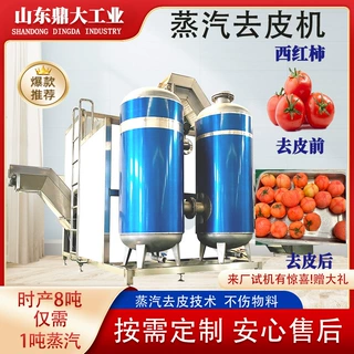 商用高压蒸汽去皮机 马铃薯地瓜西红柿黄桃通用 果蔬脱皮生产线
