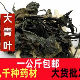 大青叶中药材一公斤大青叶茶克打大青叶粉新货蓝菜 板蓝根叶子