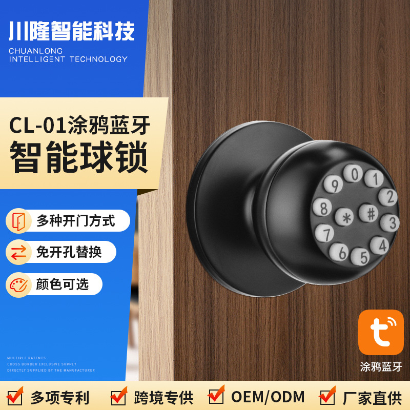 跨境涂鸦蓝牙智能密码锁免开孔球形智能锁房门木门电子锁智能球锁
