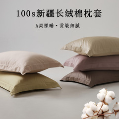高级感100s纯棉长绒棉枕套a类一对装纯棉高端酒店单人纯色枕头套