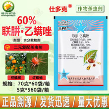 �A���˶��60%�����\�����������ټt֩�뚢�њ��\���x���rș