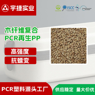 Wood Plastic Material Wood Fiber Composite Plastic Pp Modified Material Fiber Filled Plastic Environmentally Friendly Material Pcr