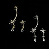 Asymmetrical brand earrings, 2021 collection, simple and elegant design