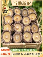 �؎X�خa�㹽��؛500g�㹽�ɶ���Ģ���ľ���㹽����С�㹽���X��