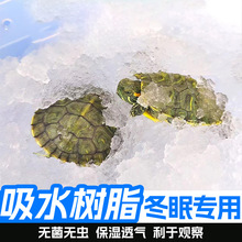 乌龟冬眠吸水树脂陆龟巴西龟爬宠全套保暖保湿是水高分子垫材树脂