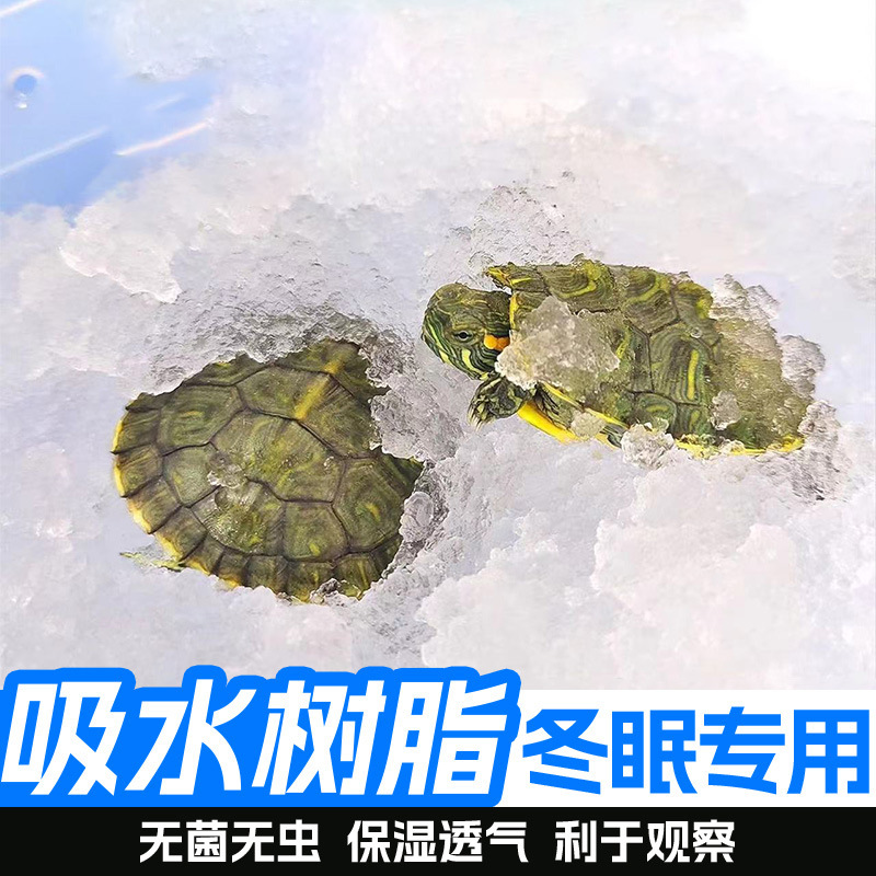 Turtle Hibernation Absorbent Resin Tortoise Brazilian Turtle Reptile Pet Complete Set of Warmth and Moisture Retention Is a Water Polymer Pad Material Resin Turtle Hibernation Absorbent Resin Tortoise Brazilian Turtle Reptile Pet Complete Set of Warmth and Moisture Retention Is a Water Polymer Pad Material Resin