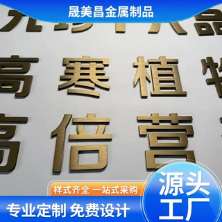 不锈钢金属字 精工电镀烤漆工艺 源头工厂