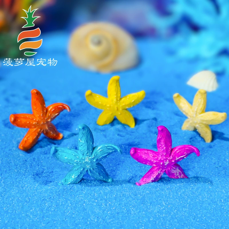 Хит продаж: настоящие кораллы в форме морской звезды, декоративные растения для аквариума, компаньоны для рыб и креветок, небольшой набор в наличии