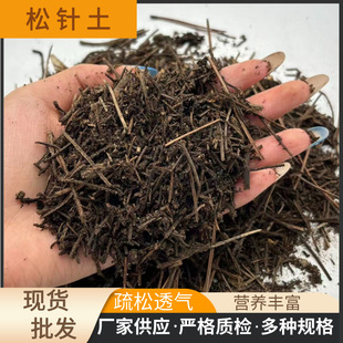 ��ᘸ��g���I�B���F؛���l��������mͨ������̿�����÷N���ЙC��