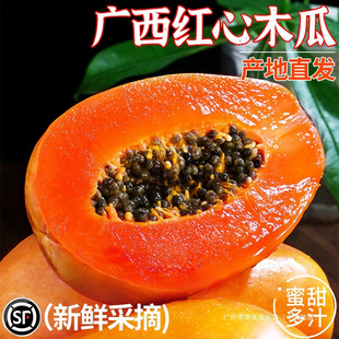 �V���t��ľ�����rˮ����������10�خaţ�̘�����ܛŴ������