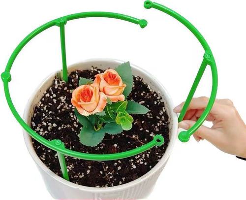 Flower stand support ring support rod can be spliced ​​leaf guard bracket plant potted orchid bracket climbing pergola indoor flower stand