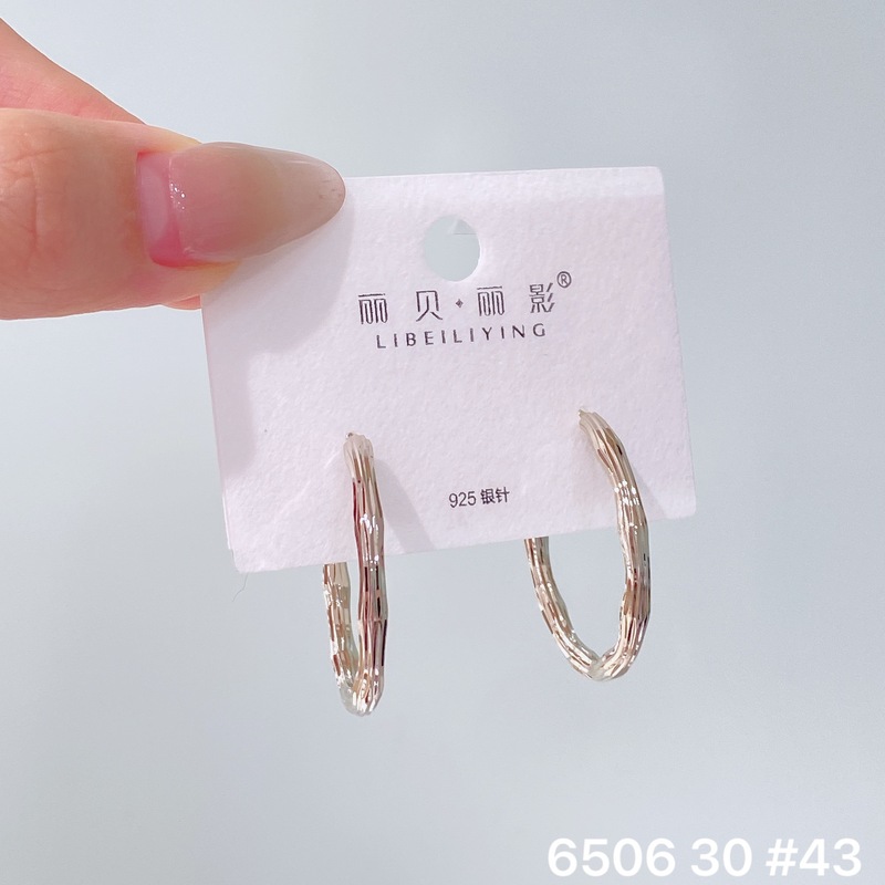 丽贝丽影丽银欧美时尚高级感素圈耳环2025新款爆款个性小众女耳圈|undefined