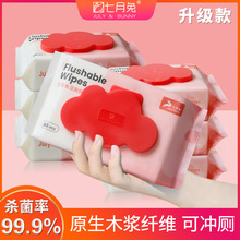 湿厕纸家庭装母婴适用可降解升级款家用卫生纸厕用湿巾其他