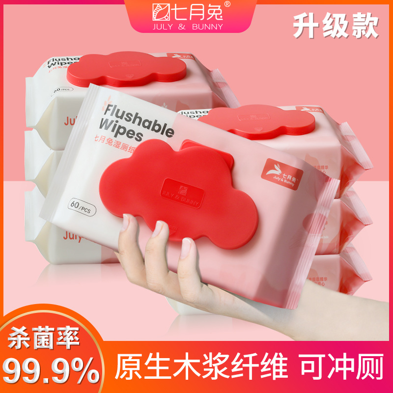 湿厕纸家庭装母婴适用可降解升级款家用卫生纸厕用湿巾其他