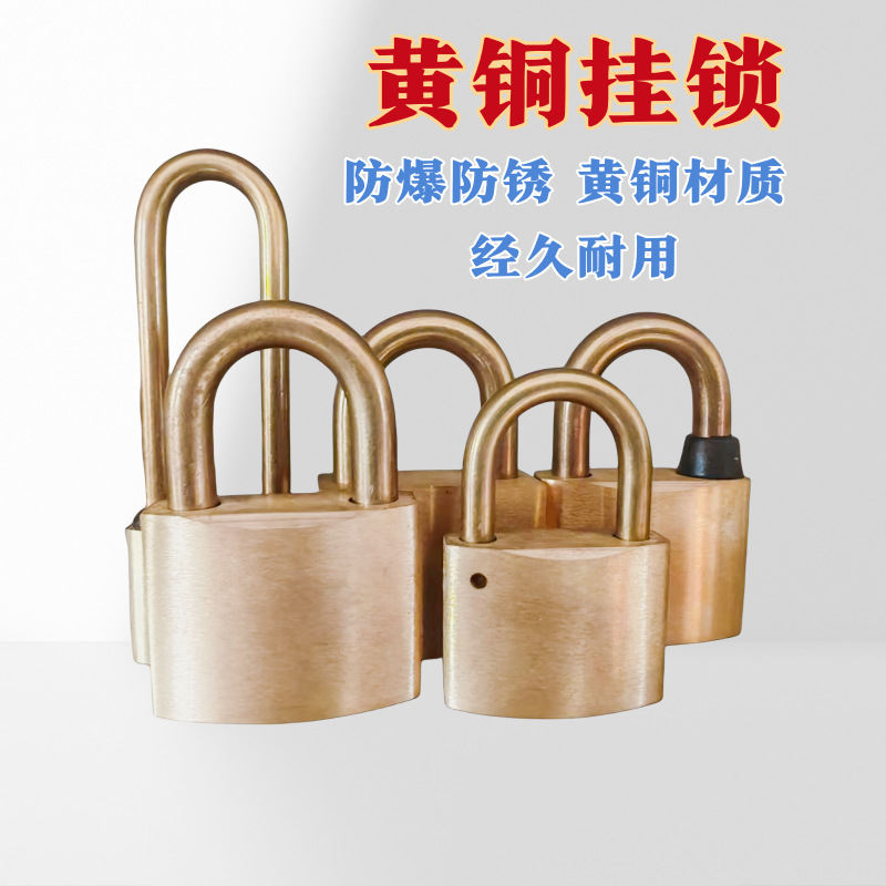Cerradura de cobre cerradura de cobre cerradura cerradura cerradura cerradura de tanque de gas cerradura cerradura impermeable cerradura de caja de medidor eléctrico cerradura industrial