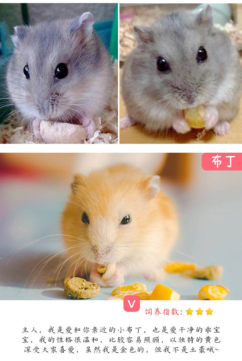 8f9d0084-72b7-44cb-8865-c0c09328b6ec.jpe