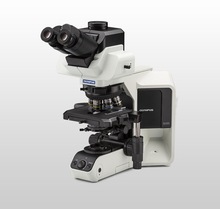 【奥林巴斯】BX53(LED)正置荧光显微镜/半电动荧光显微镜