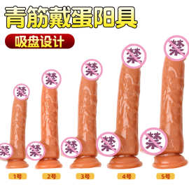 仿真阳具柔软逼真假阴茎女用手动插入抽插自慰阴蒂刺激成人性用品