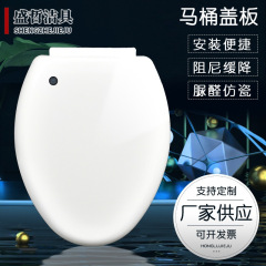 便器の蓋v型u型通用便器の旧式便器の輪のトイレの工事はゆっくりと座って蓋をします。