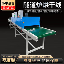 工业丝印隧道炉皮带网带式恒温隧道烘干炉油墨固化烘干流水线定