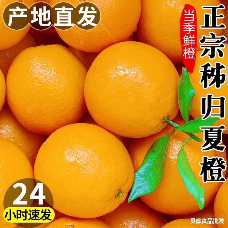 新鲜秭归夏橙5斤当季酸甜橙子当季水果新鲜现摘甜橙香橙现摘现发