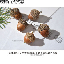 带橡果钉羊角很DIY手作天然橡子配件干果真的