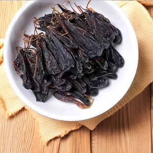 �������R��đ����đ���R����đ����đҰ��đ֧�֙z�y