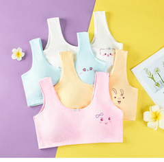 Girls' underwear, junior high school students, high school students, female middle school students, pure cotton development period vest, big children's girls' bra