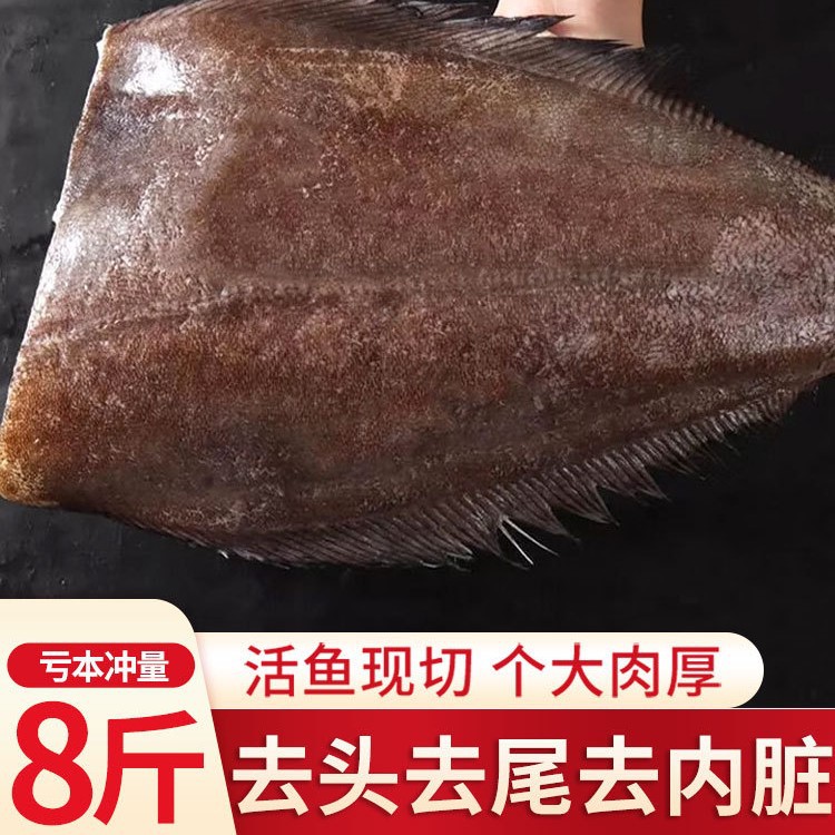 深海鲽鱼身大号碟鱼去头整条蝶鱼鸦片鱼身冷冻偏口鱼比目鱼新鲜